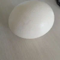 تخم خالی‌شده شتر مرغ واسه دکوری زیبا