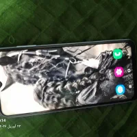 فروش گوشی موبایل