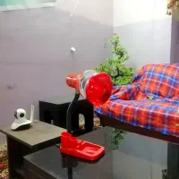 باکس و مادر مصنوعی حیوانات سگ،گربه،خرگوش،پرندگان|لوازم جانبی حیوانات|شیراز, هفت تنان|دیوار