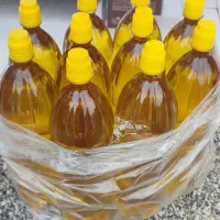 فروش زیتون و روغن زیتون بصورت کلی و جزعی