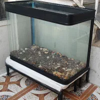 اکواریوم شیشه خم شرکتی