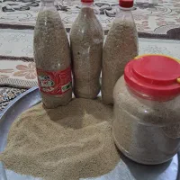 بذر|خدمات باغبانی و درختکاری|کوهدشت, |دیوار