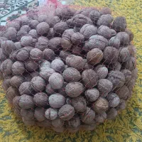 گردو تازه