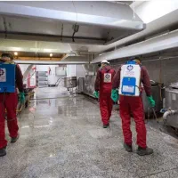 سمپاشی سم پاشی ساس سوسک کنه موریانه 100درصدتضمینی