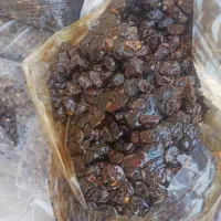 خرما خاصویی و کبکاب|عمدهفروشی|بندر گناوه, |دیوار