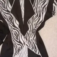 مجلسی|لباس|زنجان, |دیوار