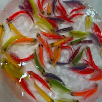 فروش ماهی کالر همه رنگ|ماهی|مشهد, گوهرشاد|دیوار