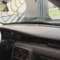 سمندسورمه ای