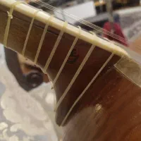 تار|سازهای سنتی|تهران, درختی|دیوار