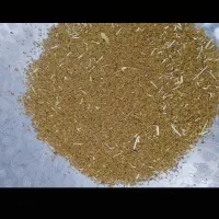 بذر یونجه محلی|گل و گیاه طبیعی|مریوان, |دیوار