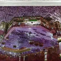 فیش عمره|تور و چارتر|عسلویه, |دیوار