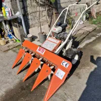 دروگرتارو تایوان