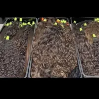 صادر کننده ی مو