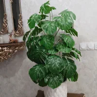 درخچه برگ‌انجیری خارجی دارای ۴۴ برگ