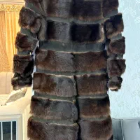 پوشاک|لباس|سیاخ دارنگون, |دیوار