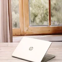 سرمایه گذار برای وصول فروش چکی