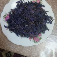 گل گاو زبان تازه و چین و خوشرنگ