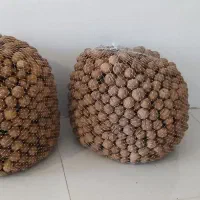 گردو درجه ۱ بوانات|خوردنی و آشامیدنی|شیراز, پودنک|دیوار