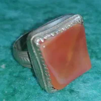 سکه های قدیمی|کلکسیون اشیاء عتیقه|قم, باغ شریفی|دیوار