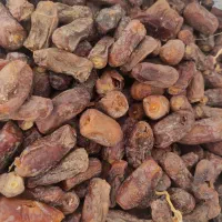 خرما ضایعاتی