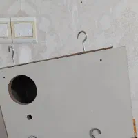 لانه عروس هلندی