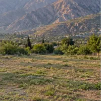 فروش-زمین-ورودی-دوم-صدرا