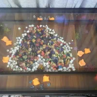 میز جلو مبلی تمام چوب به همراه ۴ عدد عسلی