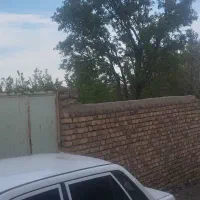 باغچه-نقلی-عالی