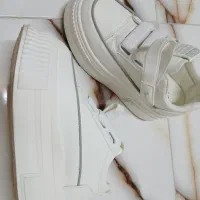 کفش کتانی لژدار