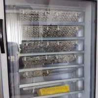 دستگاه جوجه کشی بلدرچین دماوند ۴۲۲ تایی