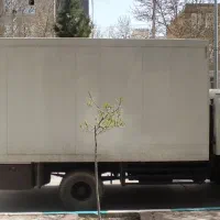 آمیکو اتاق یخچالی