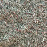 کاه خارشتر|لوازم جانبی حیوانات|رودهن, |دیوار