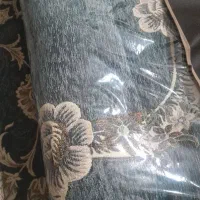 روفرشی|روفرشی|حمیدیا, |دیوار