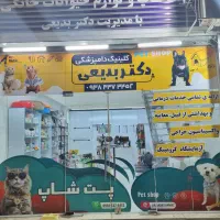 کلینیک دامپزشکی دکتر بدیعی|خدمات آرایشگری و زیبایی|اهواز, گلستان|دیوار
