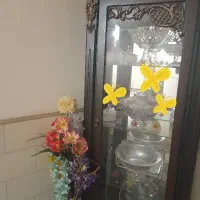 ویترین در حد نو رایگان