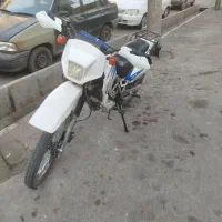 تریل جی وای