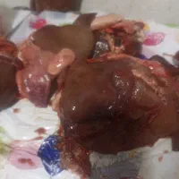 جگر بره ۷۵۰تمن دل وقلوه گوساله کیلو ۸۵۰تمن|خوردنی و آشامیدنی|بندر ماهشهر, |دیوار