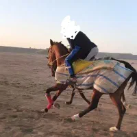 نریون