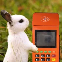 (پرطرفدارترین کارتخوانQC+/اقساط/vkrکشلس5سوئیچ