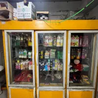 یخچال شش در دو ایستاده