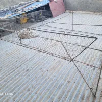 قفس(دام کبوتر)