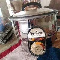 پلوپز برقی