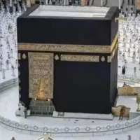 فروش دو عدد فیش عمره