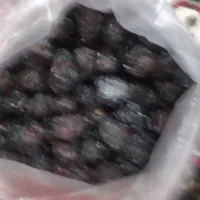 گیلاس خشک