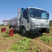 ایسوزو8 مدل 95