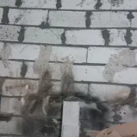 اجاره مسکونی جهت کارگاه یا انباری ۱۲۰متر|اجارهٔ خانه و ویلا|مشهد, مهدی آباد (بلوار توس)|دیوار
