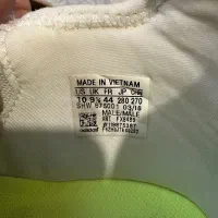 کفش|کیف، کفش، کمربند|همدان, |دیوار