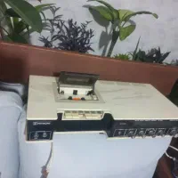 یک عدد ظبت کم یاب عشق بازا بیان