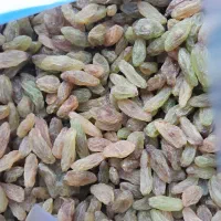 بادام منقا زرین|خوردنی و آشامیدنی|مشگین شهر, |دیوار