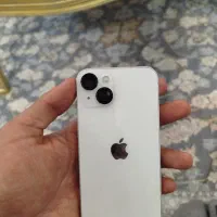 13 normal